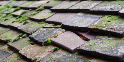 Tumble roof repair costs